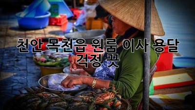 천안 목천읍 원룸 이사 용달, 걱정 끗!