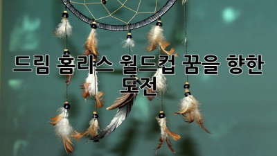 드림: 홈리스 월드컵, 꿈을 향한 도전